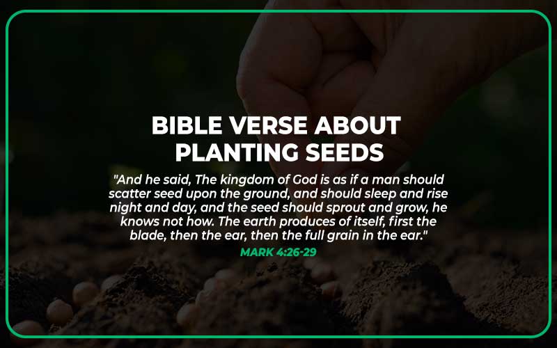 17 Bible Verse About Planting Seeds Scripture Savvy