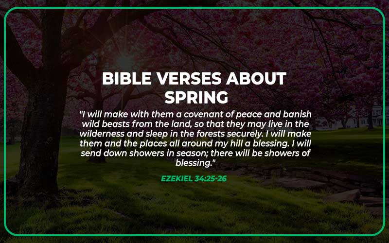 Bible Verses About Spring