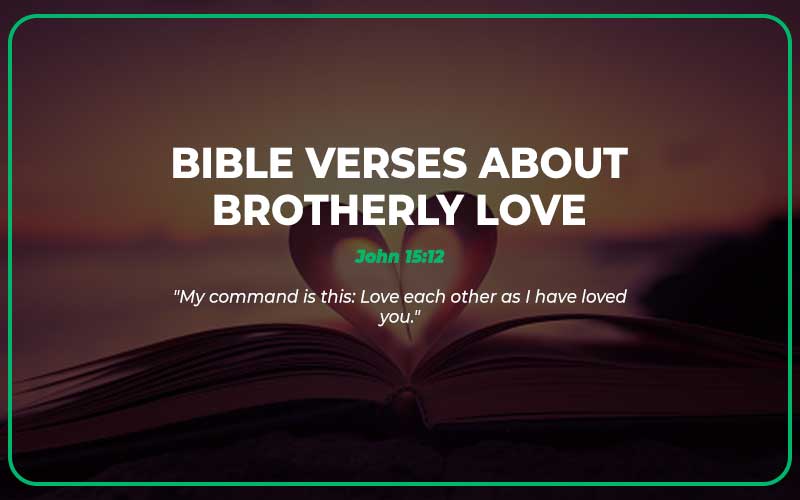 Bible Verses About Brotherly Love