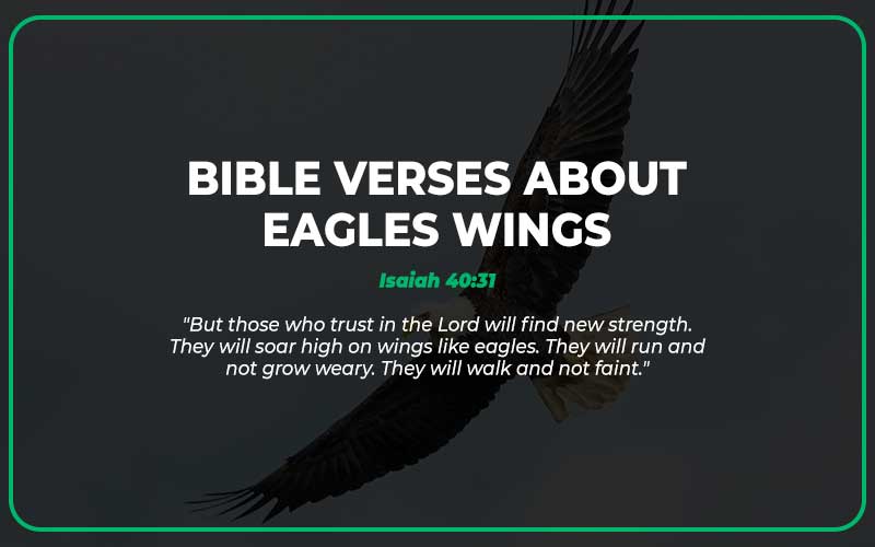 Bible Verses About Eagles Wings