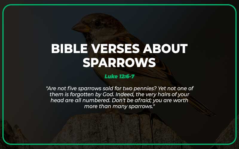 Bible Verses About Sparrows