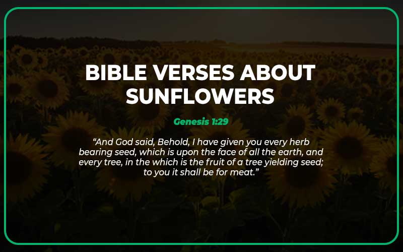 Bible Verses About Sunflowers