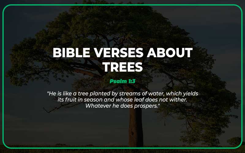 25 Important Bible Verses About Trees Scripture Savvy