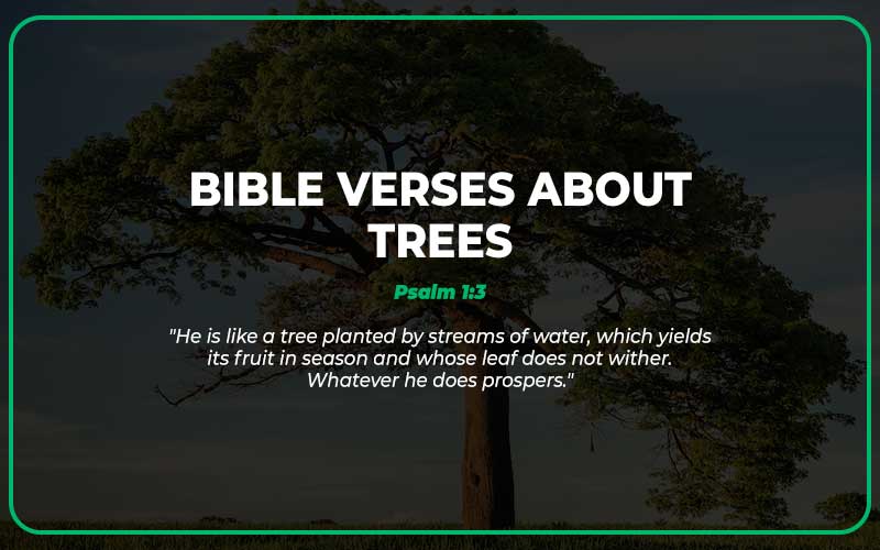 Bible Verses About Trees