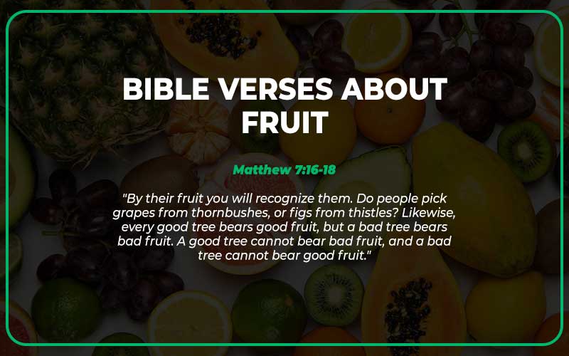 Bible Verses About Fruit