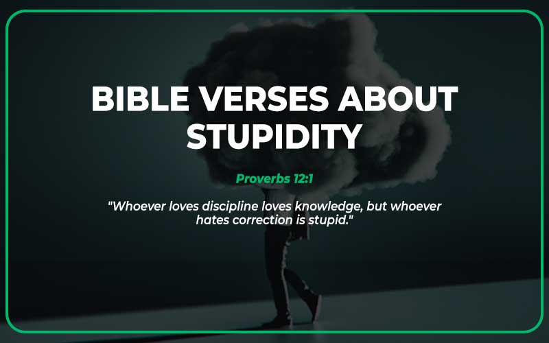 Bible Verses About Stupidity