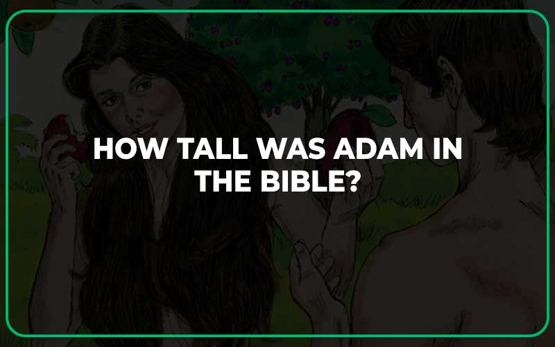 How Tall Was Adam in the Bible