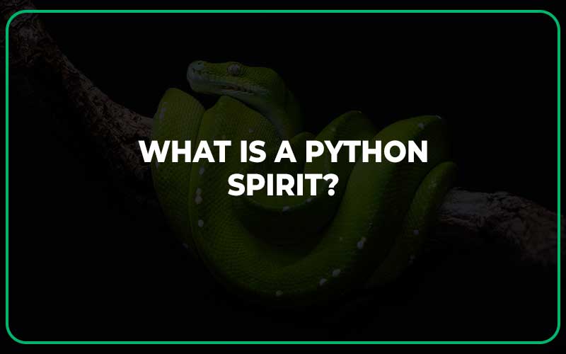 What Is a Python Spirit