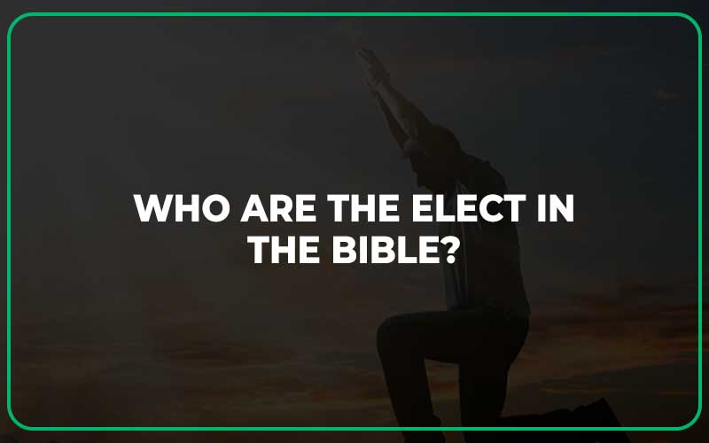 Who Are the Elect in the Bible