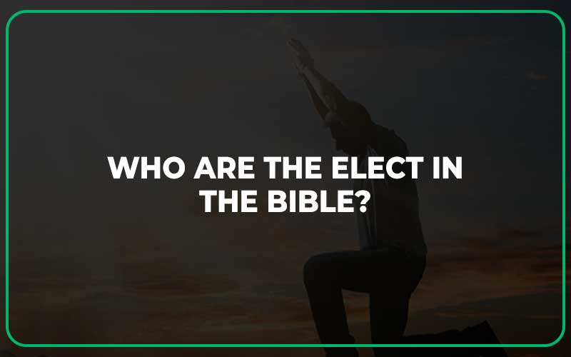 who-are-the-elect-in-the-bible-understanding-the-elect-of-god