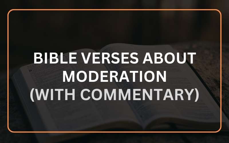 Bible Verses about Moderation
