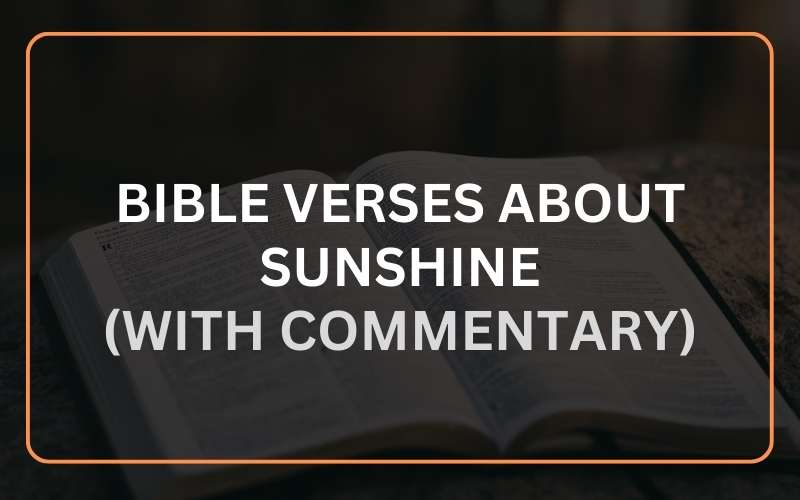 Bible Verses About Sunshine