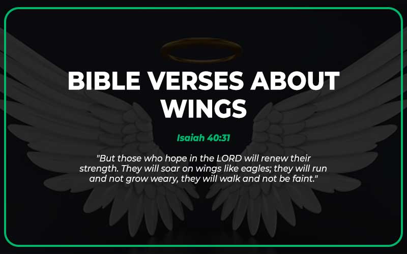 Bible Verses About Wings