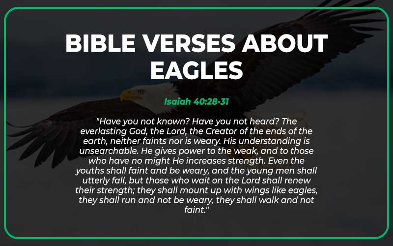 Bible Verses about Eagles