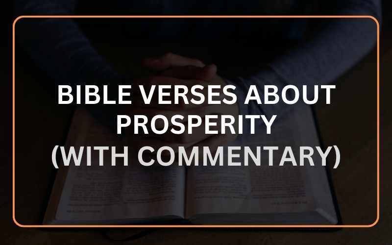Bible Verses About Prosperity