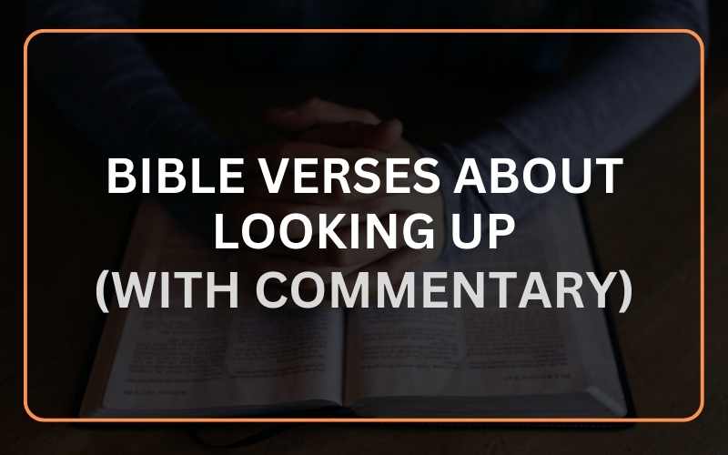 Bible Verses About Looking Up