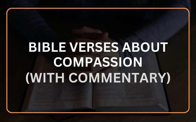 Bible Verses About Compassion