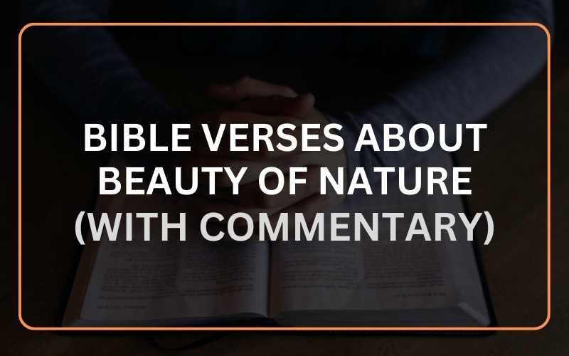 bible verses about nature