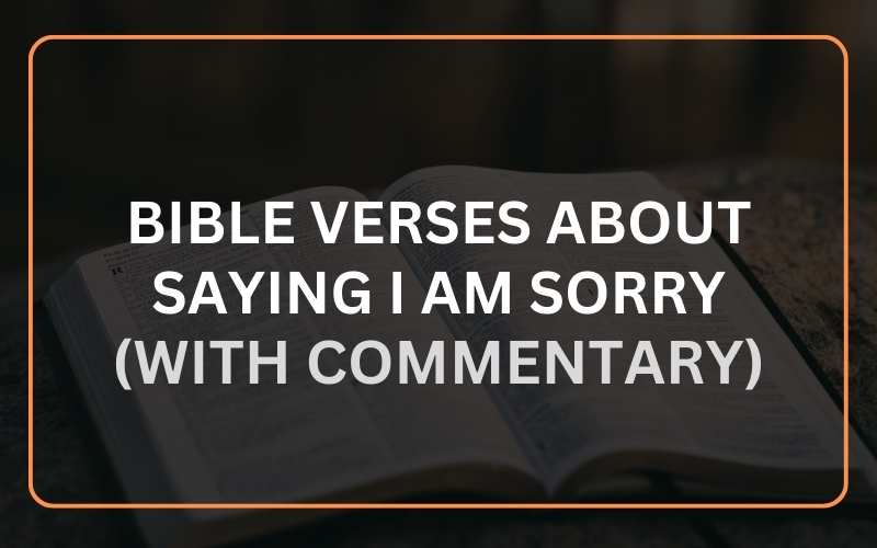 Bible Verses About Saying I Am Sorry