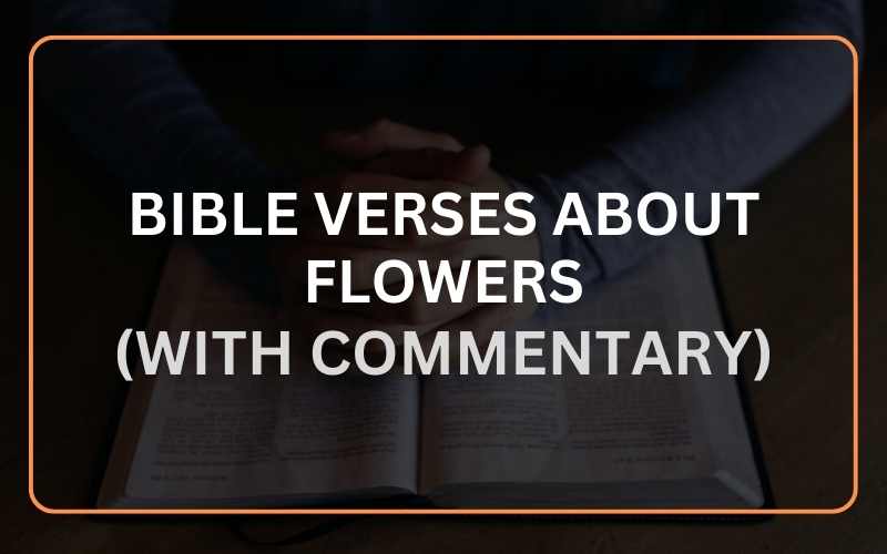 Bible Verses About Flowers