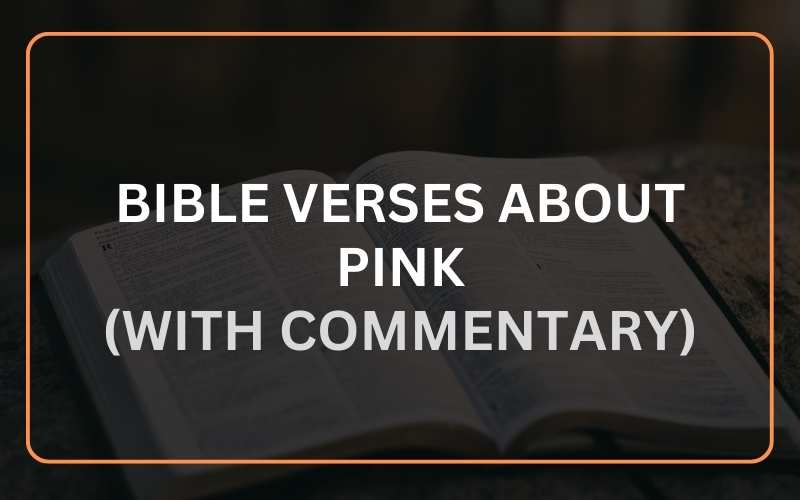 Bible Verses About Pink