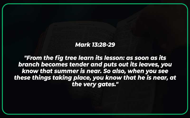 Mark 13:28-29