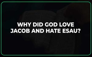 Did Esau Regret His Choice The Nyt Explores The Biblical Mystery - bi17ruk