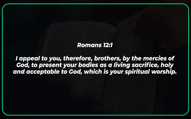Bible Verses About Discipleship