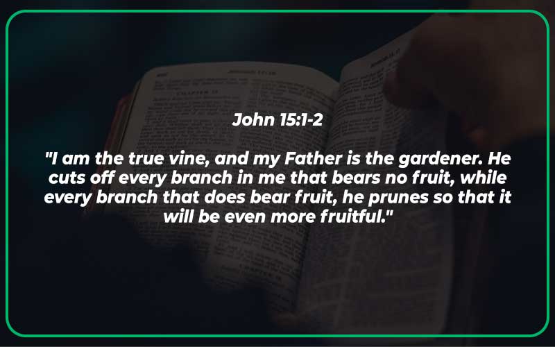 20+ Bible Verses About Growing (With Commentary) - Scripture Savvy
