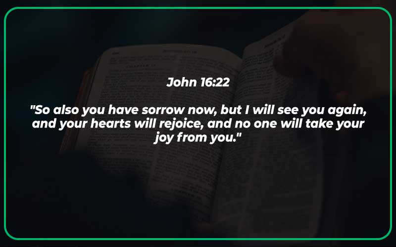John 16:22