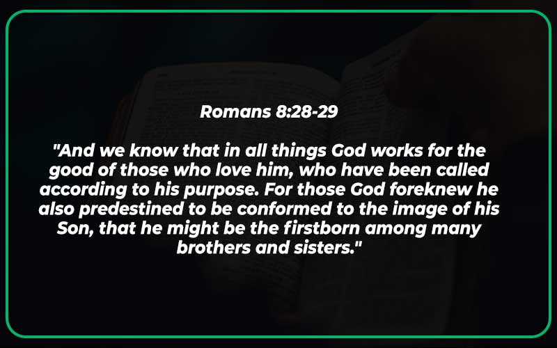 Romans 8:28-29