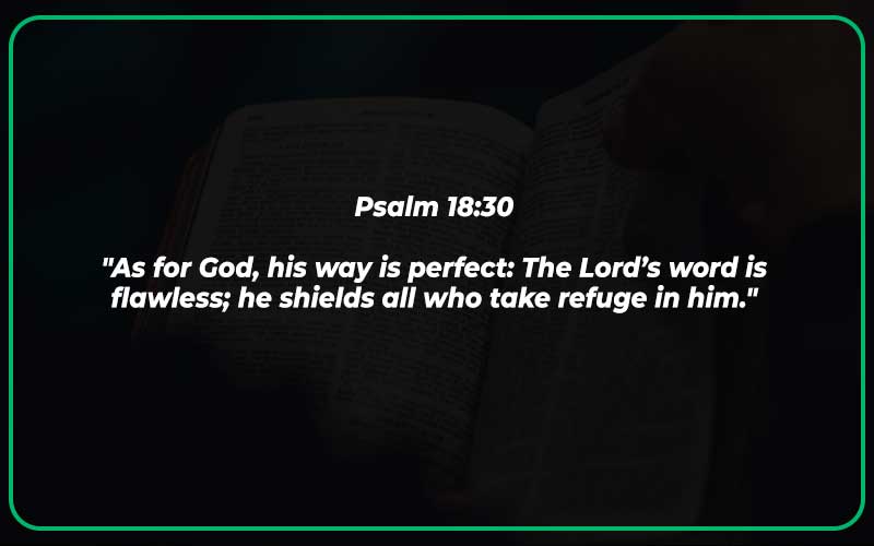 Psalm 18:30