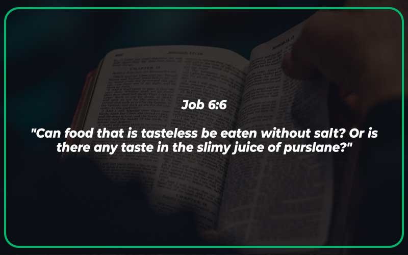 Job 6:6
