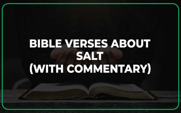 Salt Scriptures 20+ Important Bible Verses About Salt (With Commentary)