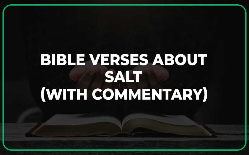 Bible Verses About Salt