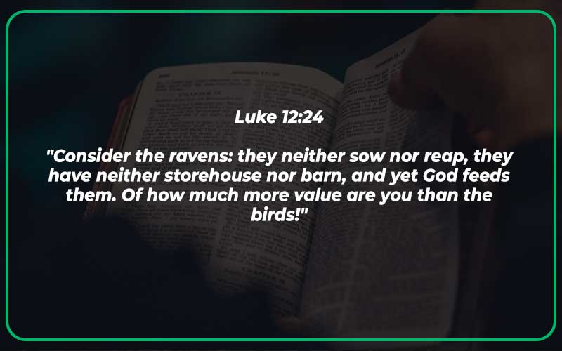 Luke 12:24