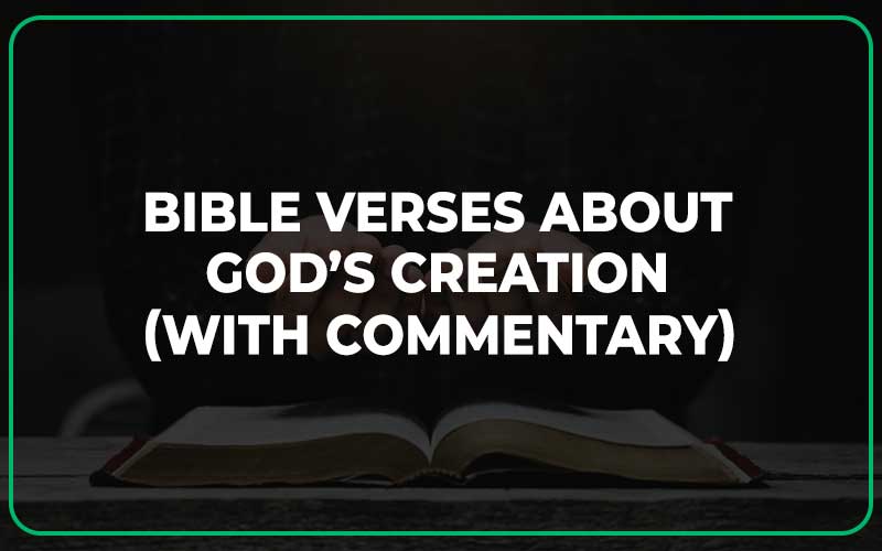 Bible Verses About God’s Creation