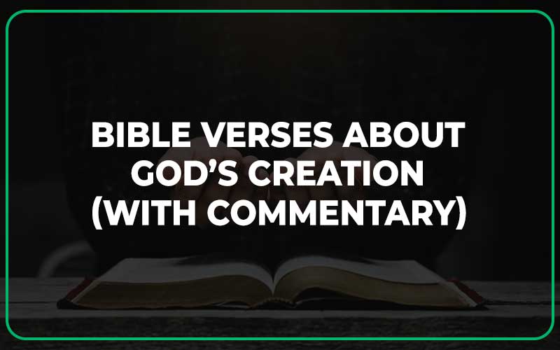 23+ Bible Verses About God's Creation (With Commentary) - Scripture Savvy