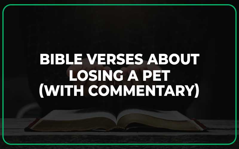 Bible Verses About Losing a Pet
