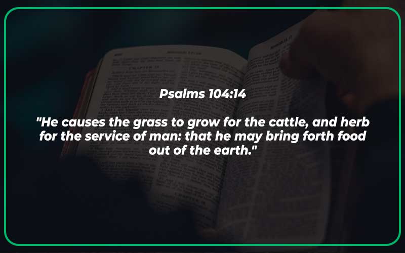 Bible Verses About Plants