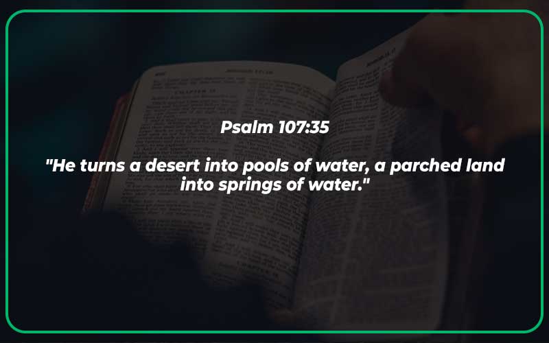 Bible Verses About Streams of Water