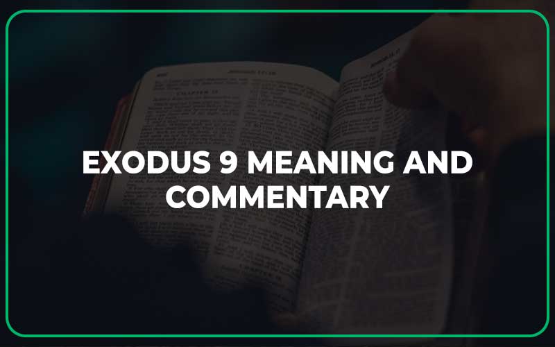 Exodus 9 Meaning And Commentary Scripture Savvy
