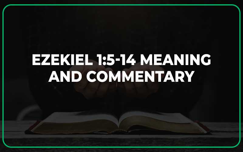 Ezekiel 1:5-14 Meaning and Commentary