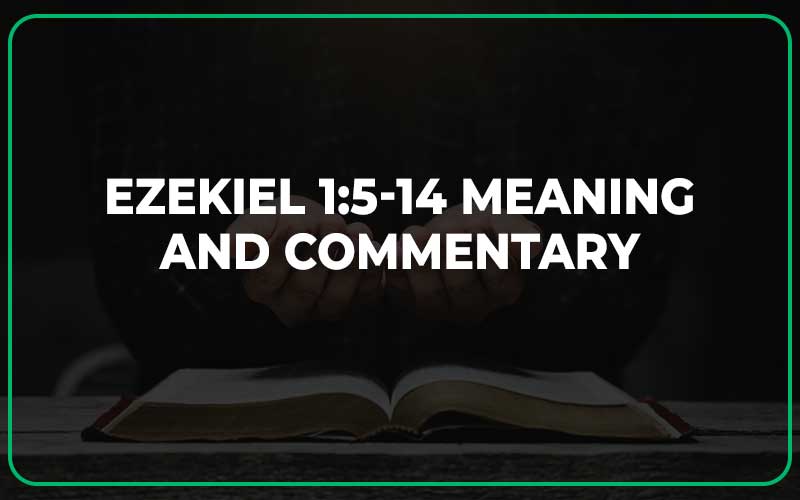 Ezekiel 1 5 14 Meaning And Commentary Scripture Savvy