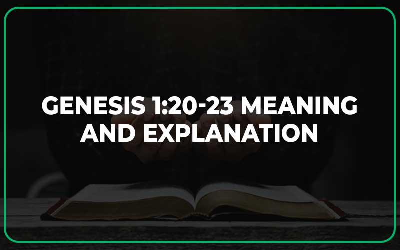 Genesis 1:20-23 Meaning and Explanation