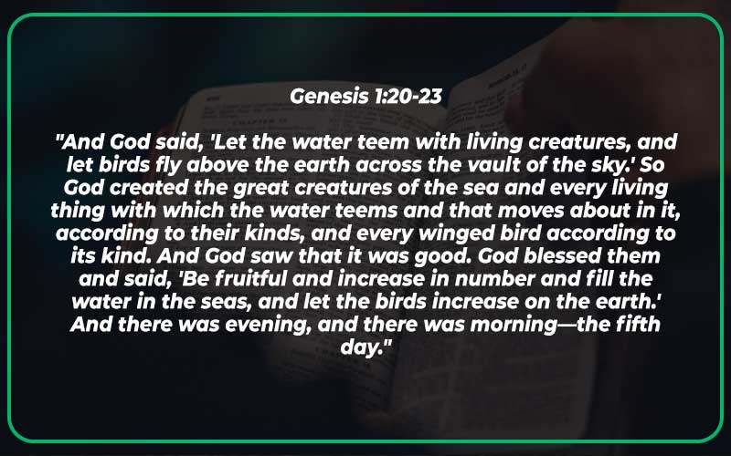 Genesis 1:20-23