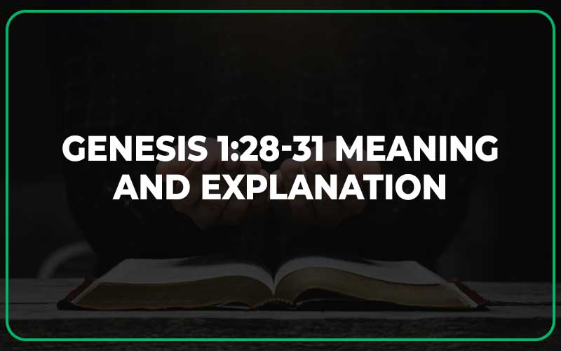 Genesis 1:28-31