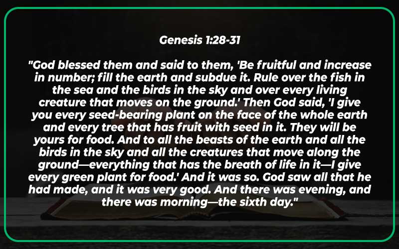 Genesis 1:28-31