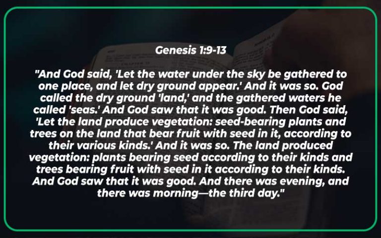 Genesis 1:9-13 Meaning and Commentary - Scripture Savvy