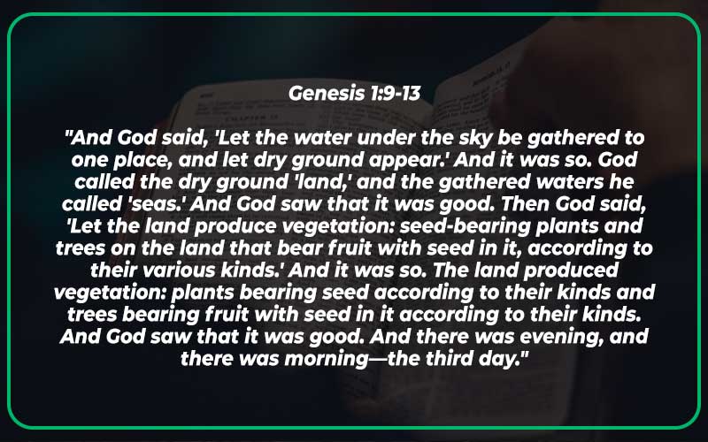 Genesis 1 9-13
